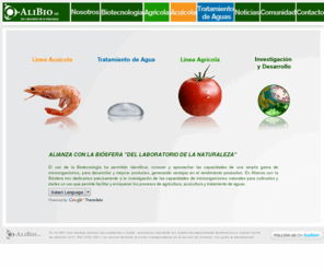 alibio.com.mx: Alibio, Plantas de Tratamiento de Aguas Residuales, Productos Biotecnológicos para Agricultura y Acuicultura
ALIBIO CULTIVO DE MICROORGANISMOS QUE PERMITEN FACILITAR Y ENRIQUECER LOS PROCESOS DE TRATAMIENTO DE AGUAS, AGRICULTURA Y ACUICULTURA