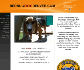 bedbugdogdenver.com: BedBug Blasters - WELCOME TO THE HOME OF "BUGSY"
 HI! I AM 'BUGSY'  I AM 10 MONTHS OLDI AM A NESDCA CERTIFIED BEDBUG SCENT DETECTION DOG!I HAVE BEEN INTENSELY TRAINING FOR THE LAST 3 MONTHS AT NATIONALLY RENOWNED J AND K CANINE ACADEMY IN FLORIDA.