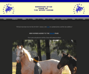 saratogastud.co.za: Saratoga Stud :: Home of the Sport Horse :: Howick :: Kwa Zulu Natal :: South Africa
Saratoga Stud - Home of the Sports Horse - Saratoga Stud is situated in the Karkloof Valley just outside of Howick in the Natal Midlands.