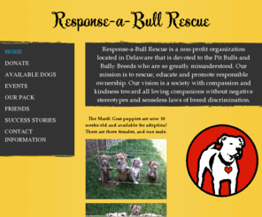 response-a-bull.org: Response-a-BULL Rescue - Home
Response-a-Bull Rescue is a non-profit organization located in Delaware that is devoted to the Pit Bulls and Bully Breeds who are so greatly misunderstood. Our mission is to rescue, educate and promote responsible ownership. Our vision is a society with co