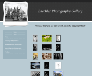 baechlergallery.com: Baechler Photography Gallery - Home
