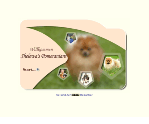 shelewas.de: Shelewas Pomeranian
Shelewas Pomeranian. Der Hundezwinger, spezialisiert auf die Zucht von Pomeranian (Zwergspitz), konzentriert sich auf das großziehen von Welpen, für die Ausstellung (Austellungen), unter der Hand des VDH und FCI.