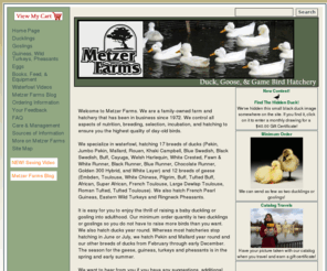 metzerfarms.com: Metzer Farms | Goose, Duck, & Game Bird Hatchery
Metzer Farms is Goose, Duck, and Game Bird Hatchery in Gonzales, California.  
We also sell fresh eggs, balut, hatching eggs, waterfowl and gamebird feeds, books, & equipment.