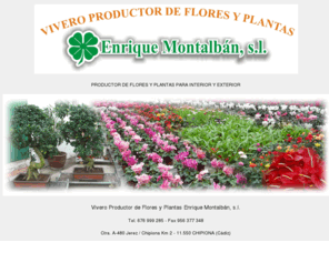 plantasmontalban.com: Vivero Productor de Flores y Plantas Enrique Montalbán - Chipiona (Cádiz)
Enrique Montalbán. Vivero productor de flores y plantas. Instalaciones situadas en Chipiona (Cádiz).