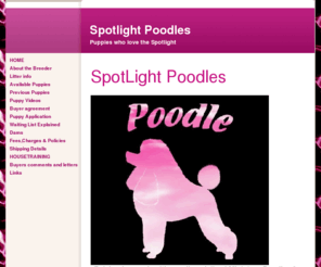 spotlightpoodles.com: HOME - Spotlight Poodles
Breeding small Miniature Poodles with emphasis on early socialization, we produce wonderful, loving companions for responsible homes.