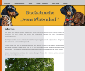 dackelvomplatenhof.com: Dackelzucht vom Platenhof
