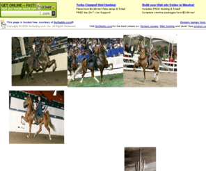 desireedevriesstables.com: Home Page
Home Page