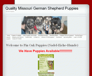 pinoakpuppies.com: Quality Missouri German Shepherd Puppies - Home
pin oak puppies is a home run kennel that breeds top quality german shepherd dogs to get top quality pups