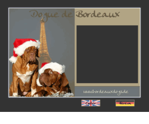 bordeauxdogs.de: Dogue de Bordeaux @ www.bordeauxdogs.de, Bordeauxdogge, Bordeauxdoggen
