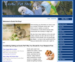 exoticpetstop.com: Exotic Pet Stop - Exotic Pets and Small Animals
Your guide to exotic pets and small animals. 