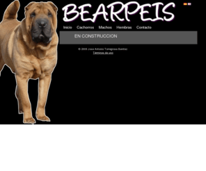 bearpeis.com: BearPeis.com
Diseño y Programación Web Profesional - ¡Hola! Si has llegado aquí, lo mas probable es que te interese el proceso de diseño web