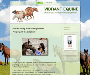 vibrantequine.com: Vibrant Equine
Vibrant Equine