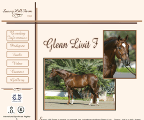 glennlivit.com: Glenn Livit F.
Glenn Livit is a 1996, 16.2 hand dark liver chestnut stallion.  He had an excellent beginning in Germany with an emphasis in dressage. For breeding information please visit this site.