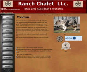 ranchchalettexas.com: Home|Australian Shepherd Puppies for sale |Texas Bred Aussies
Ranch Chalet kennel is devoted to raising purebred Australian Shepherds, We sell  our Australian Puppies with a full puppy guarantee. We are memebers of AKC,NKC and ASCA. We have a Tri-black Blue eyed Australian Shepherd at stud.