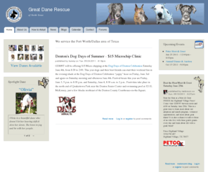 danerescue.net: Great Dane Rescue | of North Texas
