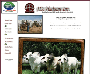 jdhudgins.com: J.D. Hudgins, Inc.
American gray Brahman cattle, beef-type, Hudgins, F1, breeding, Texas, South Texas, Central Texas, ABBA, World Wide, Export, Manso