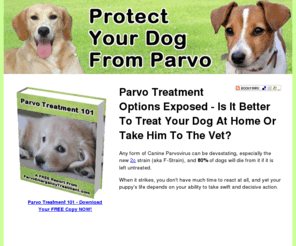 parvobook.net: Parvo Treatment 101 FREE BOOK Explains All About Parvo!
Parvo Treatment at home - find out what the vets don't want you to know.  Save thousands.  Parvo home remedies - download your free book instantly.