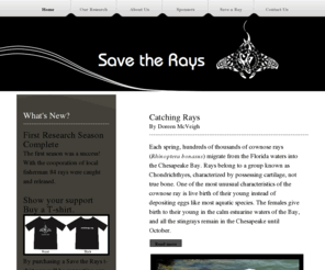 savetherays.org: Save the Rays - Home
Save the Rays is a research project inteneded to learn about the life history of the cownose ray in the Chesapeake Bay