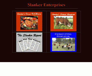 slanker.com: Slanker Enterprises
Portal to Slanker's Enterprises