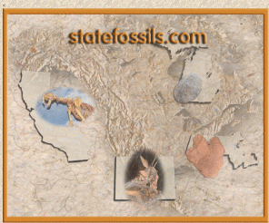 statefossils.com: Statefossils.com 
