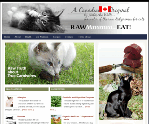 rawmeatcatfood.com: rawmeatcatfood.com — Home made raw meat cat food premix
Home made raw meat cat food premix