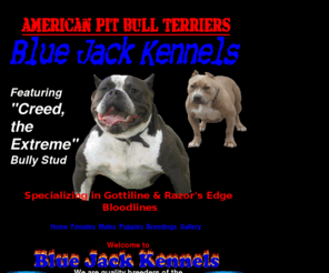 bluejackkennels.com: Blue Jack Kennels Home page: Quality Breeders of the American Pit Bull Terrier  (Home of the Big, the Bad, the Bully)
Home page of Blue Jack Kennels' American Bullies.