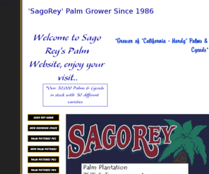 sagorey.com: Sago Rey Sago Palms
Sago Palm Grower, over 50 varieties of Palms and Cycads, with over 30,000 in stock to choose from.
