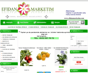 efidanmarketim.com: www.efidanmarketim.com
Goji berry fidanı, kurt üzümü fidanı, Tropikal Fidanlar, Kaktüs Çeşitleri, Kekik Çeşitleri, Etobur Bitkiler, fidan, venüs fly trap,