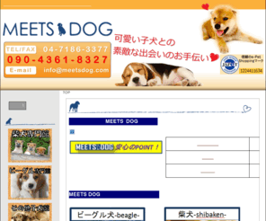 meetsdog.com: ビーグル・柴犬【子犬販売ミーツドッグ】ブリーダーから子犬を直送
