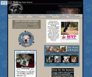 blueridgeboxerrescue.com: Blue Ridge Boxer Rescue | Boxer Dog Rescue for NC, SC, and VA
Blue Ridge Boxer Rescue, Inc. is a non-profit Boxer dog rescue who covers North Carolina, South Carolina, and parts of Virginia. 