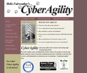 cyberagility.com: CYBER AGILITY
Clean, standards-friendly, modular framework for dropdown menus