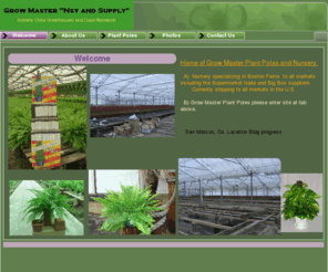 grow-master.com: Home
Boston Ferns.Nursery products.grow master nursery products