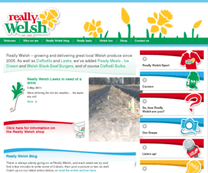 reallywelsh.com: Suppliers of fresh, high-quality, welsh daffodils, daffodil bulbs, cauliflowers, leeks and ready meals | Really Welsh
Suppliers of fresh, high-quality, welsh daffodils, daffodil bulbs, cauliflowers, leeks, chillies, potatoes and ready meals - all locally grown in wales for Tesco, Wyevale and Spar.