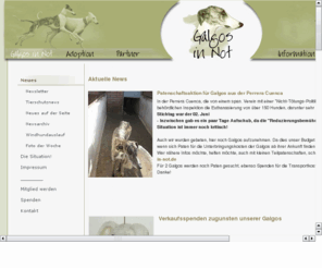 galgos-in-not.de: Galgos-In-Not: Startpage
Galgos in Not e.V. , Tierschutz