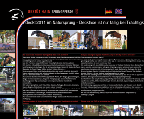 jumpinghorses-international.com: Gestüt Hain, Holsteiner, Springpferde,  Dressurpferde, Zucht, Verkaufspferde, Pferdekauf, Pferdeverkauf
Gestüt Hain, Zuchtstuten, Deckhengst, Hengste, Fohlen, Verkaufspferde, Sportpferde, Springpferde, Hunter, Vielseitigkeitspferde, Dressurpferde, Holsteiner, Pferdekauf, Pferdeverkauf, Pferdemarkt, deutsch, europäisch, international, Nachwuchspferde, Turnierpferde