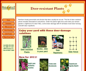 deerrepellent.info: Deer-resistant plants from Deer-resistant Landscape Nursery
Descriptions and photos of deer-resistant plants, discount deer repellents, 8-foot-tall deer fencing, order online