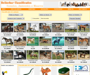 relinchar.com.br: Relinchar Classificados
Um ambiente prático para compradores e vendedores de Cavalos, Jumentos e Muares.