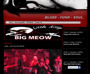 blondeonblue.net: Home
Blonde On Blue - Brisbane Blues Band