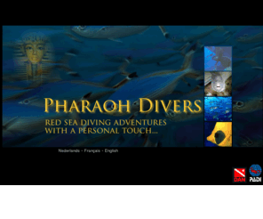 pharaohdivers.com: Pharaoh Divers - RED SEA EGYPT
The Pharaoh Divers Center is situated in Sharm el Sheikh, Egypt, and is a Mecca for divers and sun-addicts.