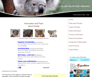 koalaworlds.com: Koala Facts and Information
Koala Facts and Information. Feeding, habitat, distribution, reproduction, anatomy and the conservation efforts made to preserve koalas.