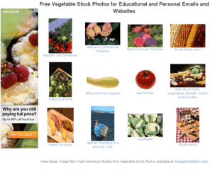 vegetablestockphotos.com: VegetableStockPhotos.com - Free Vegetable Stock Photos for Educational and Personal Emails and Websites
Free vegetable stock photos for download. Find quality stock photos of agriculture, food, foods, cuisine, veggies, veggie, vegetable, vegetables, nutrition, diet,  for educational and personal emails and websites!