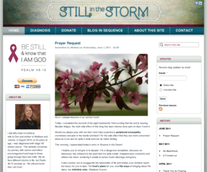 stillinthestorm.com: STILL in the STORM |
