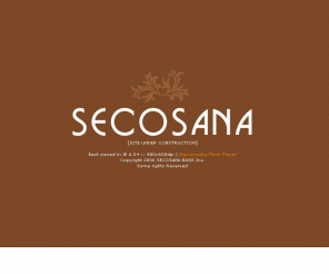 Secosana Handbags