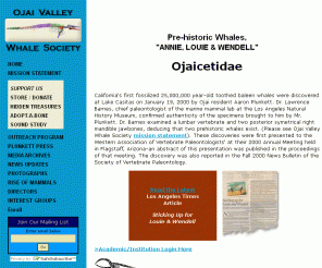 ojaivalleywhalesociety.org: Ojai Valley Whale Society
The first fossilized 25,000,000 year-old toothed baleen whales, an entirely new genus on face of the earth, discovered in California on 1/19/2000 by Aaron Plunkett, acoustic biologist/ethnic percussionist and founder of the Ojai Valley Whale Society, a paleo-anthropologic and socio-cultural C3 non-profit organization dedicated to educating and sharing the ancestry of the world and preserving, exhuming and re-creating whales', Wendell & Louie Plunkettsaurus. Pictures, media archives and personal accounts of this most amazing discovery.