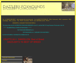 dazzlebyfoxhounds.com: DAZZLEBY FOXHOUNDS - DAZZLEBY FOXHOUNDS
DAZZLEBY FOXHOUNDS - DAZZLEBY FOXHOUNDS