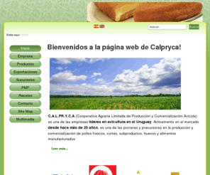 calpryca.com: calpryca.com - Inicio
Calpryca es una de las más importantes industrias avícolas de Uruguay. El pollo por Naturaleza.