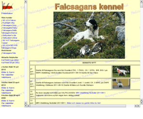 falcsagans.se: Falcsagans Kennel. Uppfödning av Engelsk setter
Falcsagans kennel. Uppfödning av Engelsk setter.