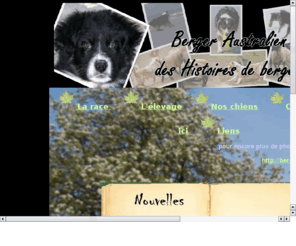 histoiresdeberger.com: histoires de berger: élevage familial de berger australien
histoire des histoires de berger elevage familial de berger australien Australian Shepherd  Aussie situé en seine maritime 76 chiot chien pour expo repro agility canicross troupeau bergers