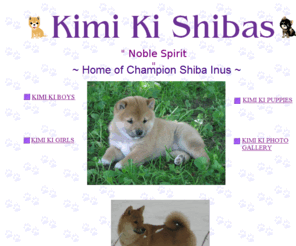 kimikishibas.com: Kimi Ki Shibas
Shiba Inu breeder in Michigan. We breed quality Registered Shiba Inus with great temperaments, health and beauty. Occassional puppies and adults available for pet or show.