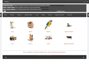 allateladas.hu: foldal
Állateladás - Eladó és ingyen elvihető állatok - Friss RSS hirdetések.